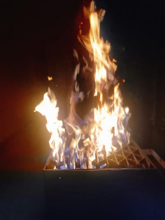 PHOTO 2025 03 22 17 52 44