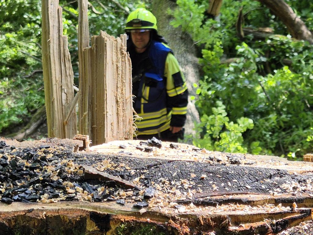 PHOTO 2025 05 14 17 38 01