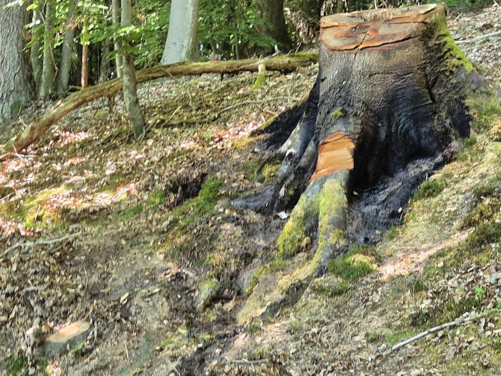 PHOTO 2025 05 14 17 38 10