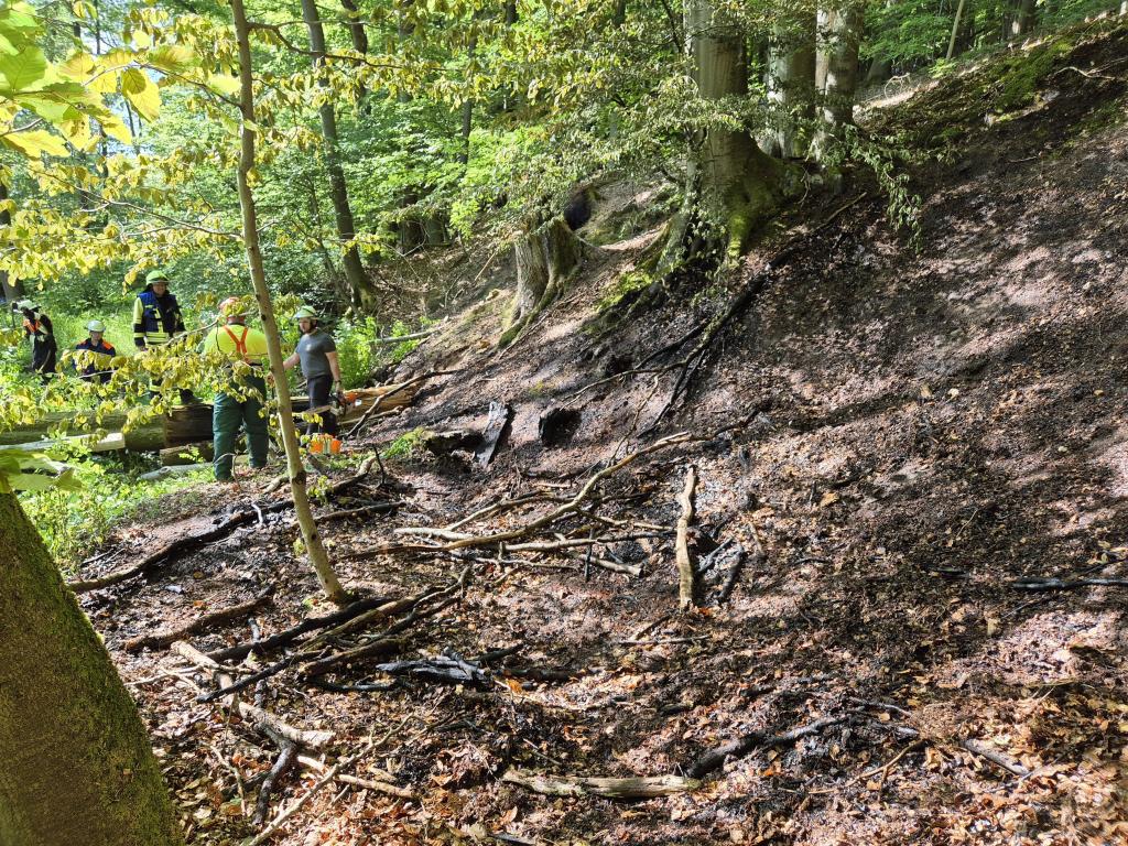 PHOTO 2025 05 14 17 38 12