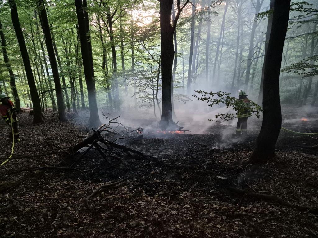 PHOTO 2026 04 28 21 15 21