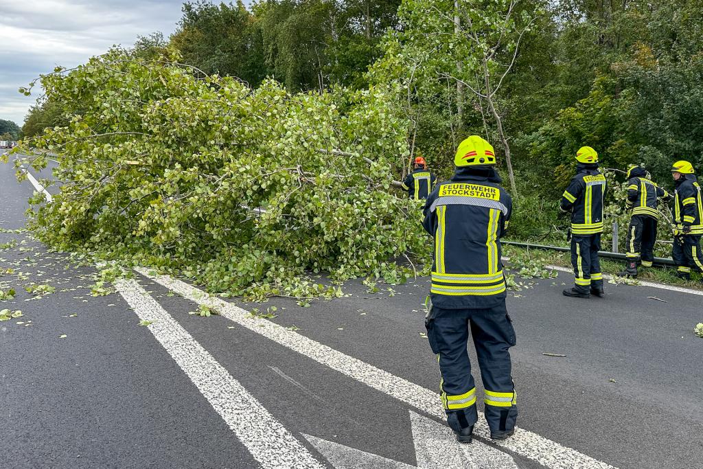 FF Stockstadt Einsatz 2026 293 Bild 03