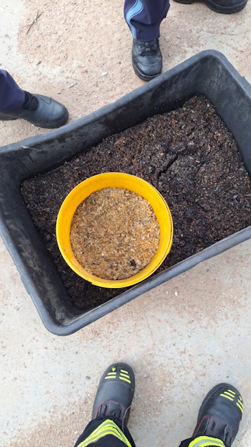 20250610 Westerngrund 02 klein