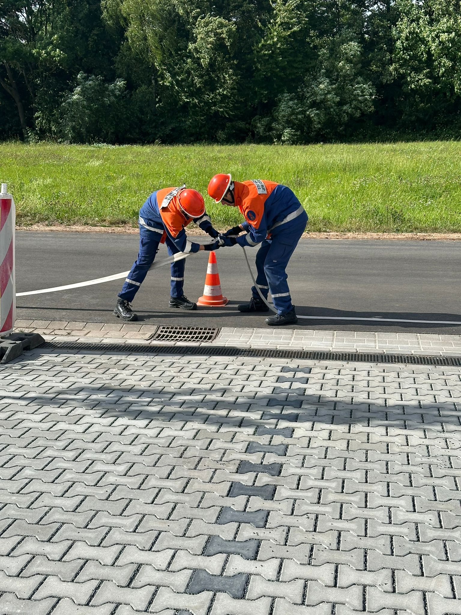 294f3572 9edd 449d 9048 423031ad315d