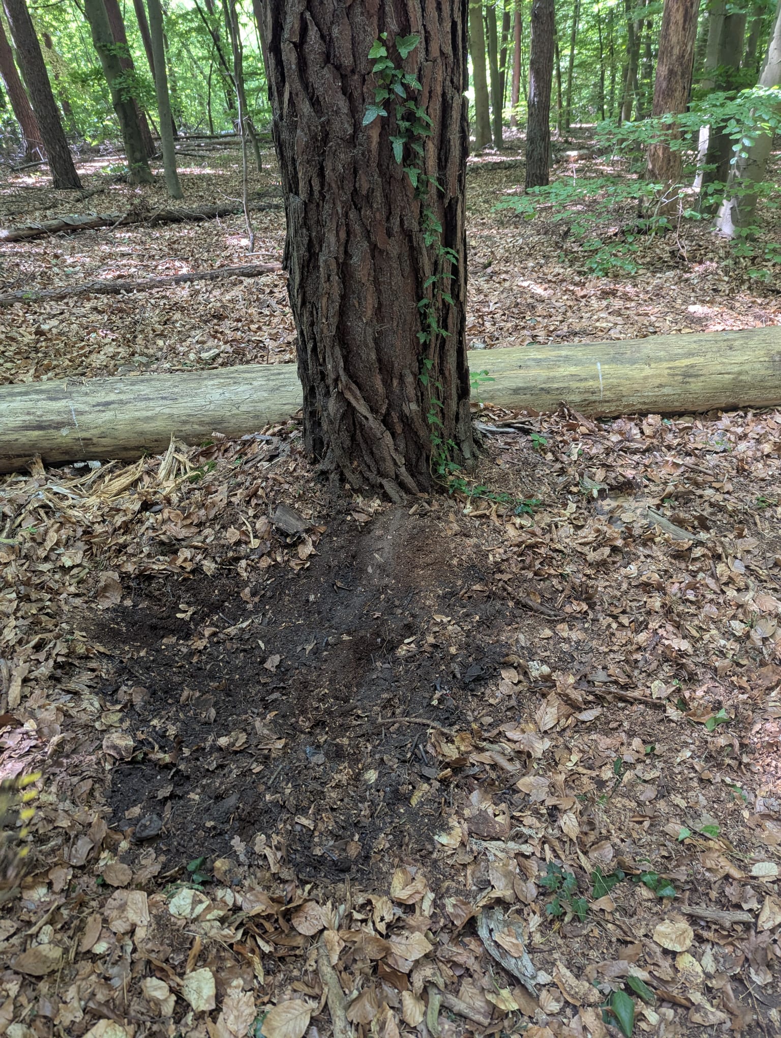 275e7dc4 fecf 4cae ab26 7a9553726408