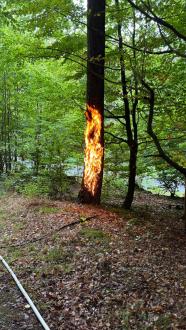 1413b583 da9e 46b9 9252 9347ac13348c