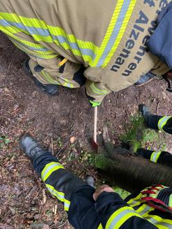 2f647b43 c5bc 4e8e 8cd8 9148069cbcf2