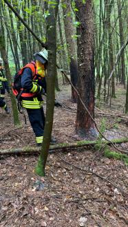 6390b01d 2105 45d6 93fd 86015e6a0c4f