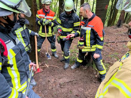 8d92806f c5cb 4eda b5ba 8ded0b5f4fd8