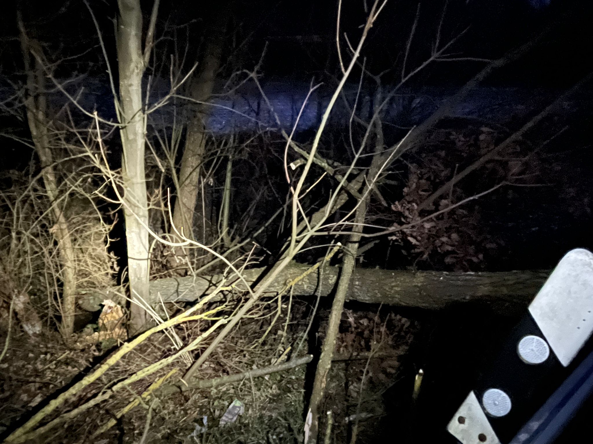 ac3ff3a3 bdd4 481a ab52 2275559eb9c6