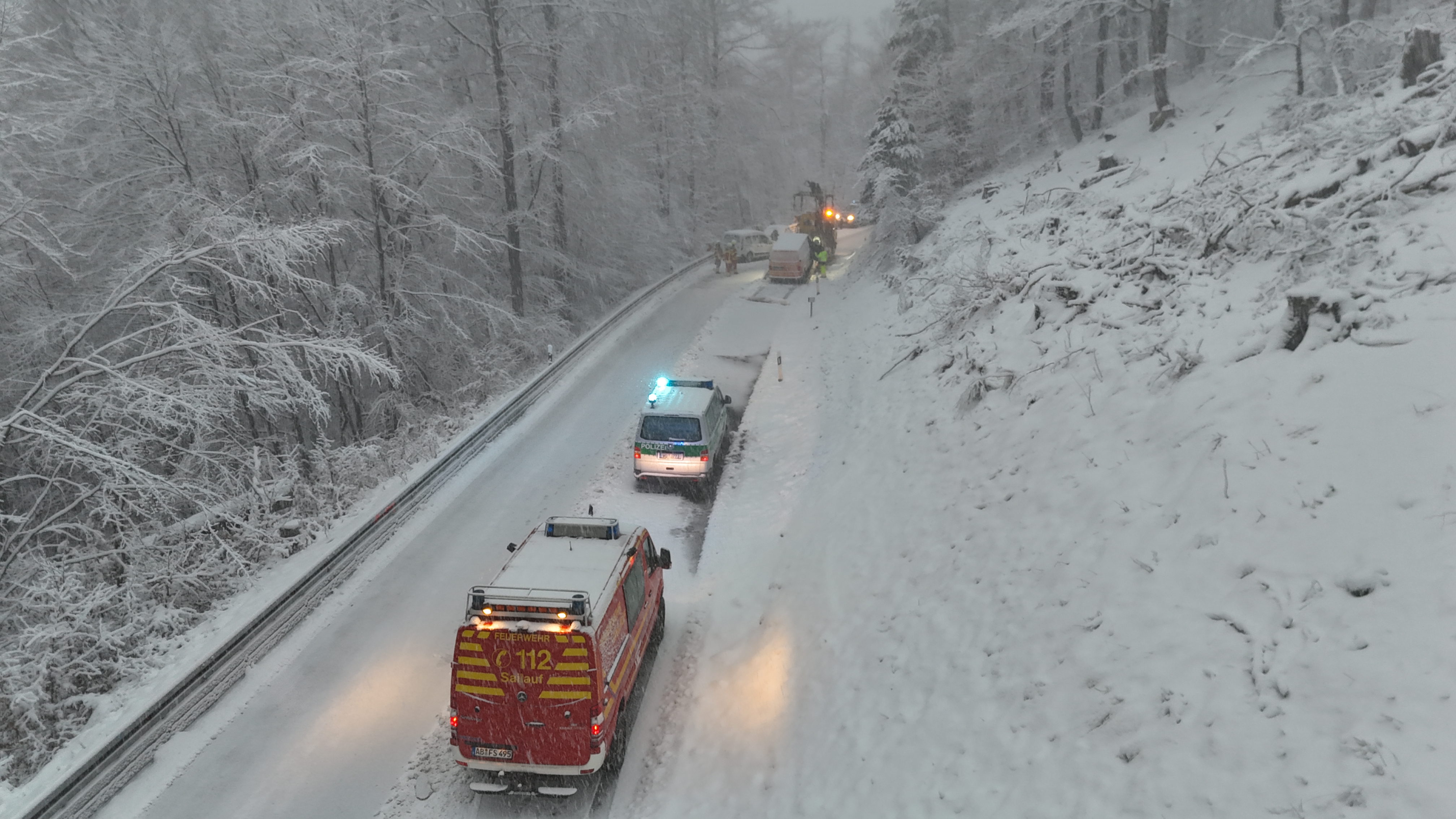 dji fly 20260219 074804 0006 1771485756321 photo