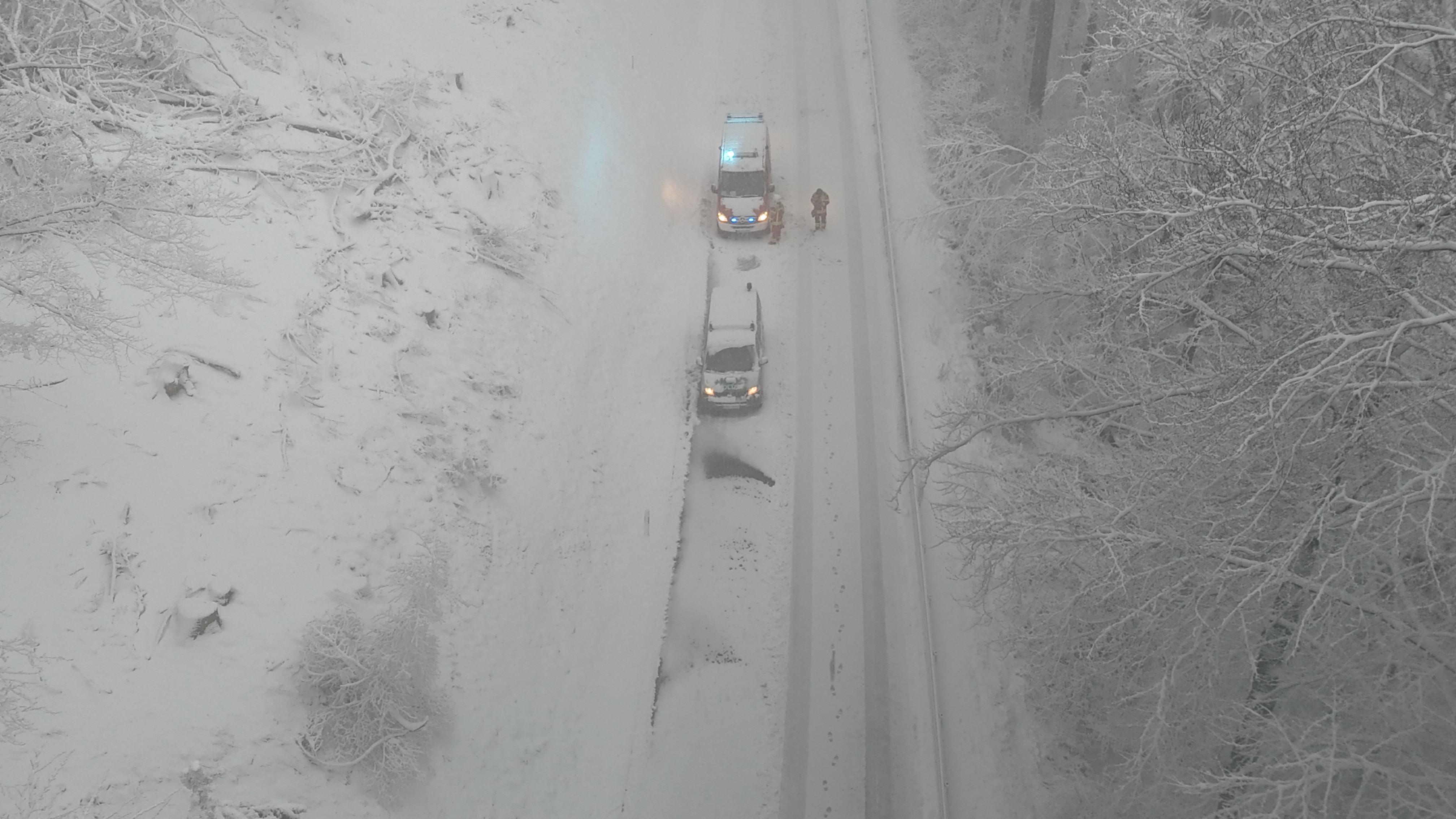 dji fly 20260219 075820 0022 1771485727439 photo