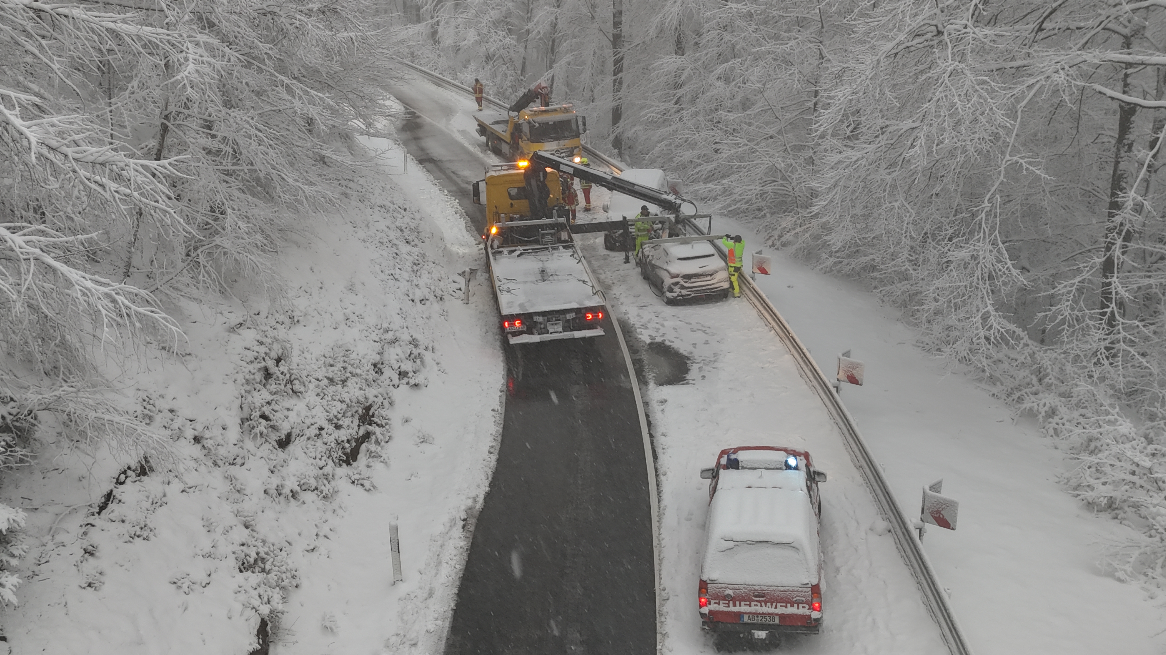 dji fly 20260219 080132 0032 1771485717108 photo