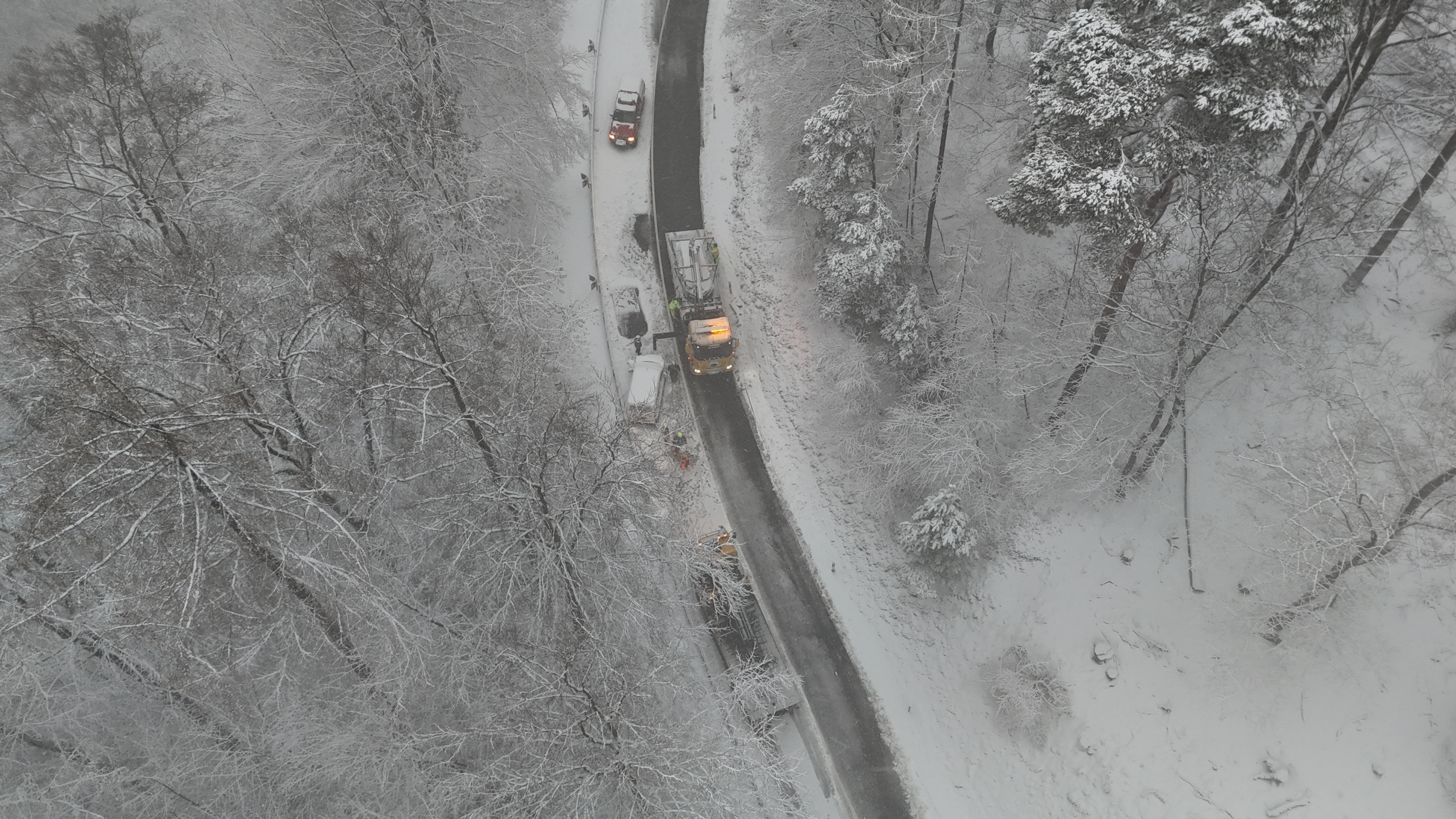 dji fly 20260219 080254 0034 1771485702796 photo