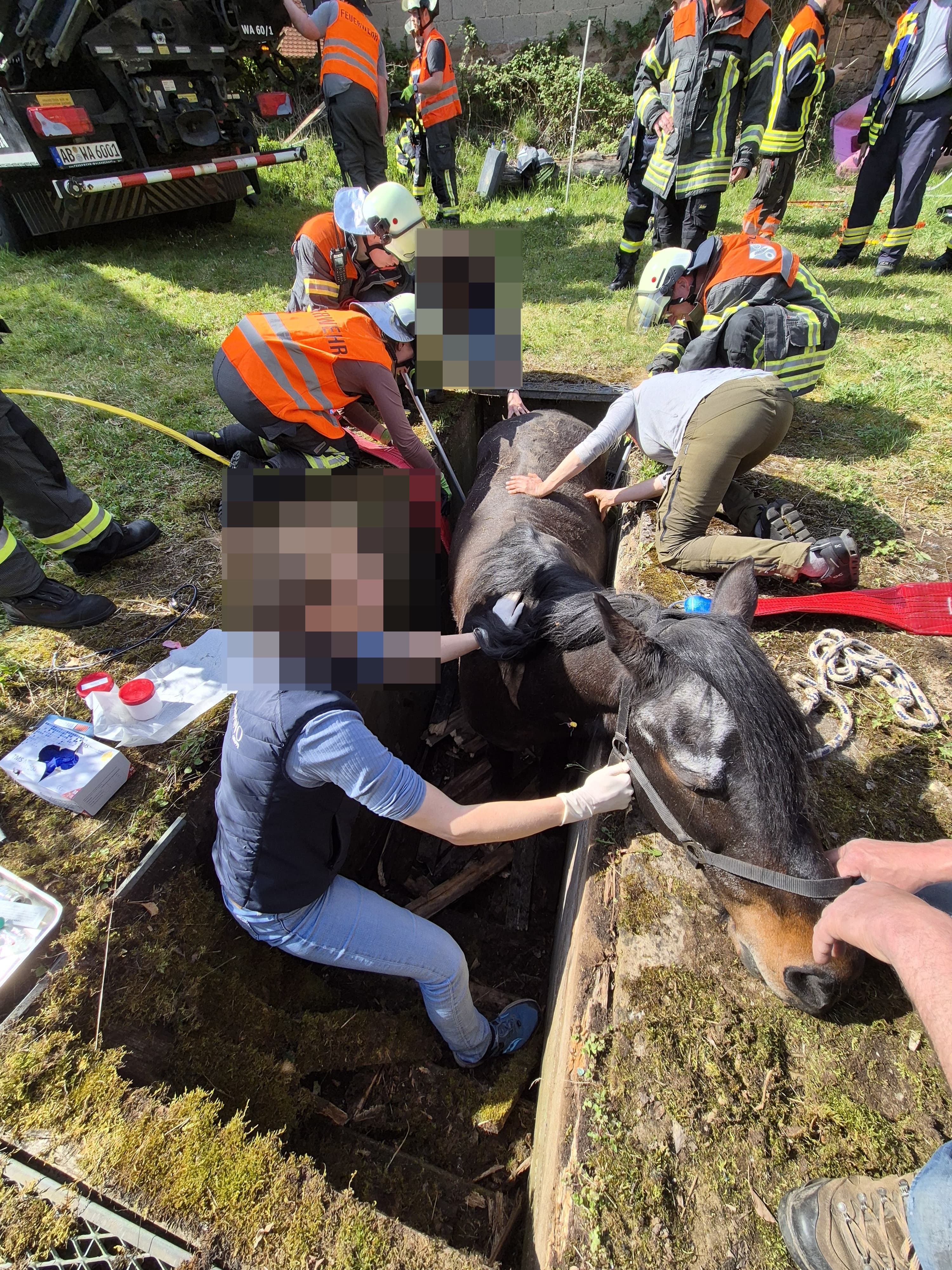 ed3de49b 674f 47cb bc2a df8bb797c7a5 anonymized