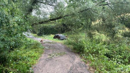 Unwetter 20260701 7