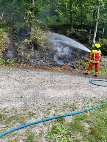 2f88a572 d99c 4cc9 bfc9 dd75888dd907