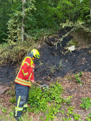 a7501679 1f6e 4421 999f ca307f489dd7