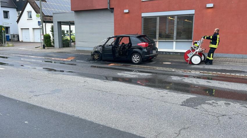 2025 07 09 PKW Brand 4jpg anonymized