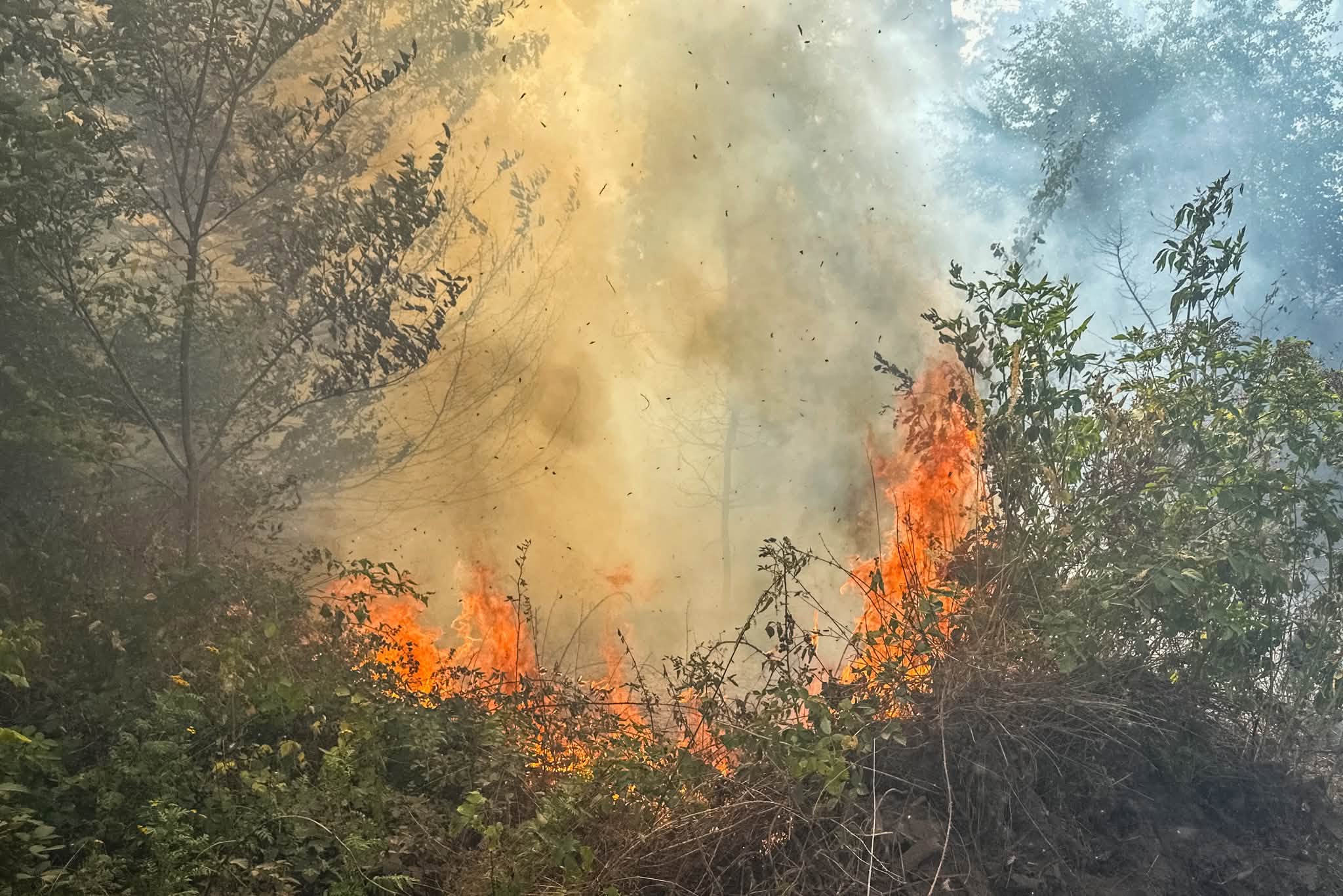 771621577_1487044326799179_2393476356846225765_n.jpg