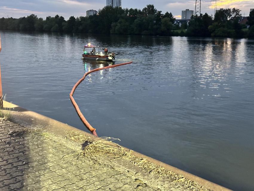 527601273 1167852528701637 3970720509784576133 n