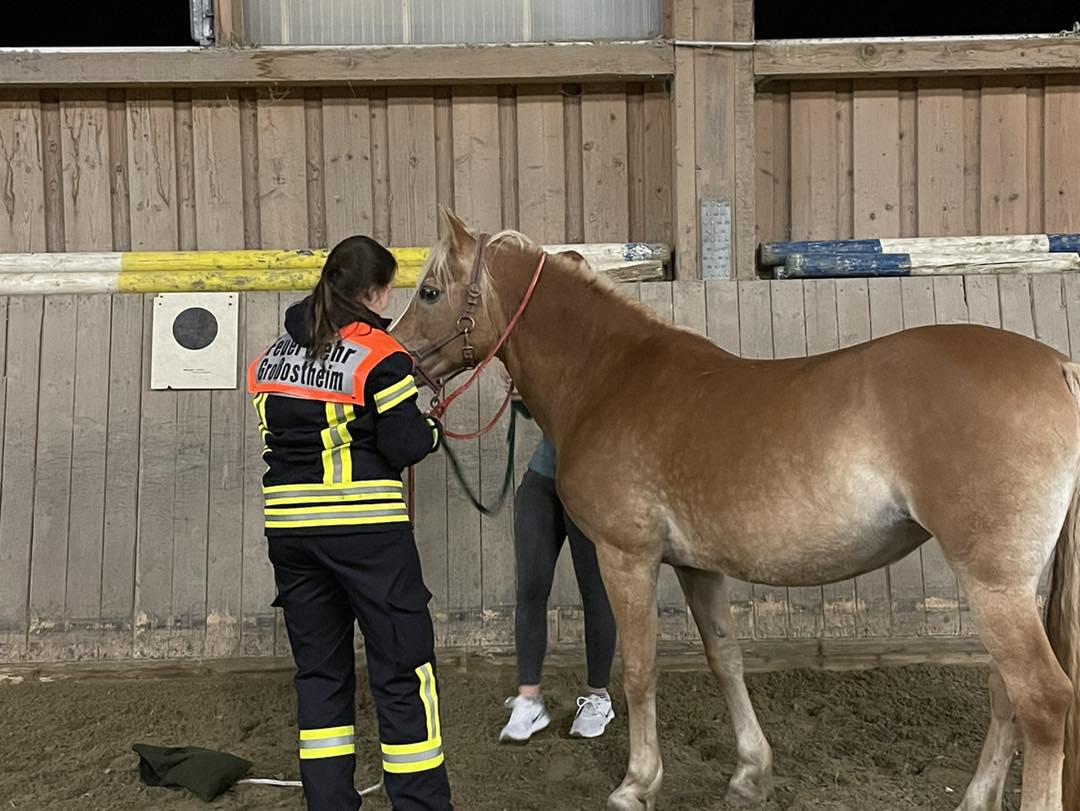 20240925 KFV FR Frauen Frauenausbildung Großtierrettung 12