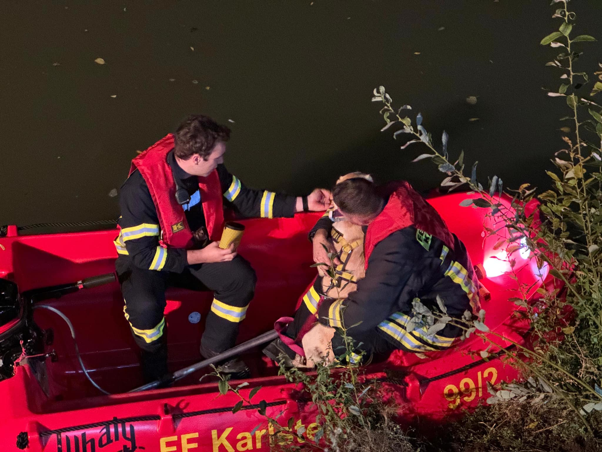 20240925 Tierrettung Karlstein 2