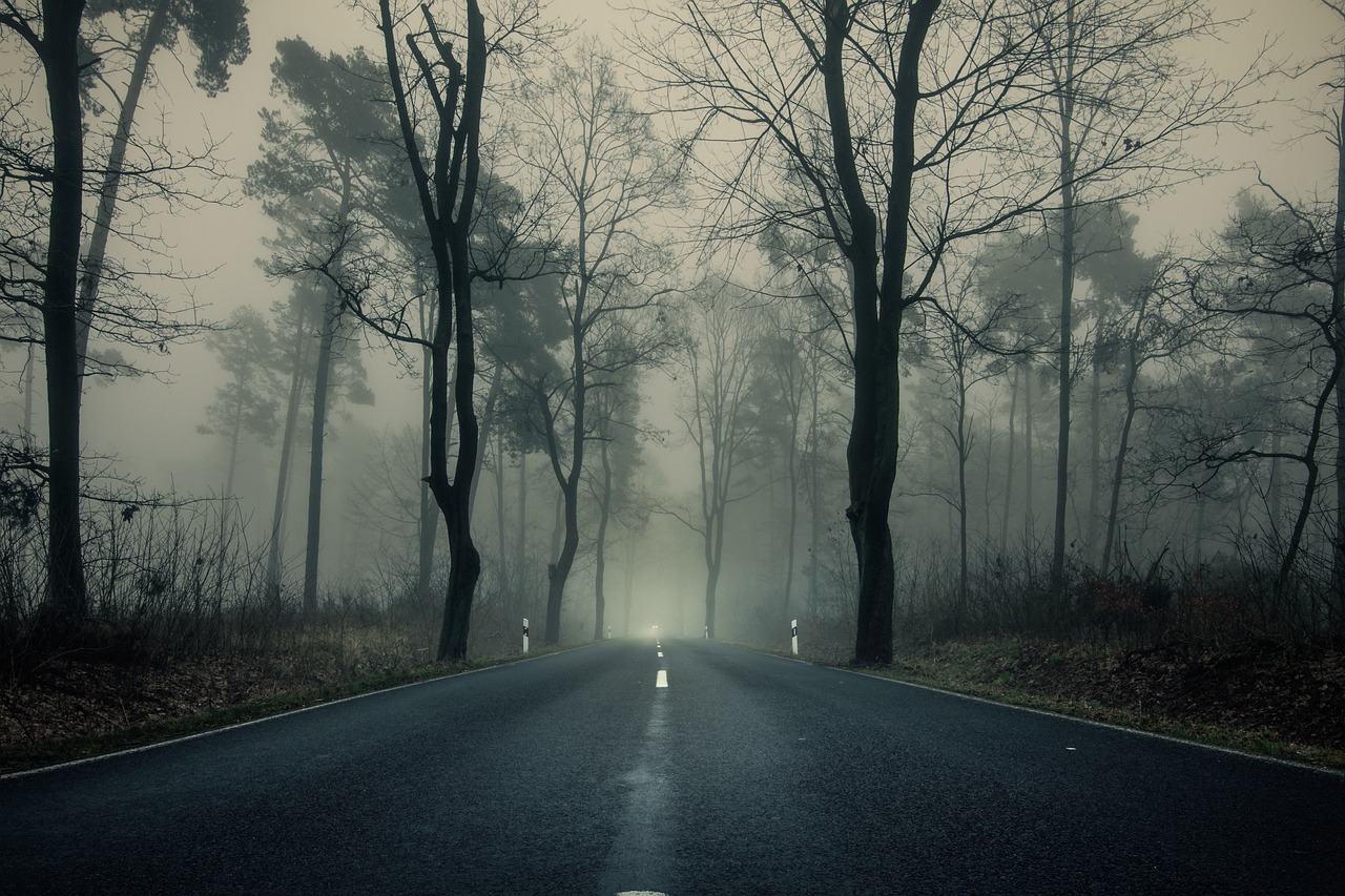 Nebel 3