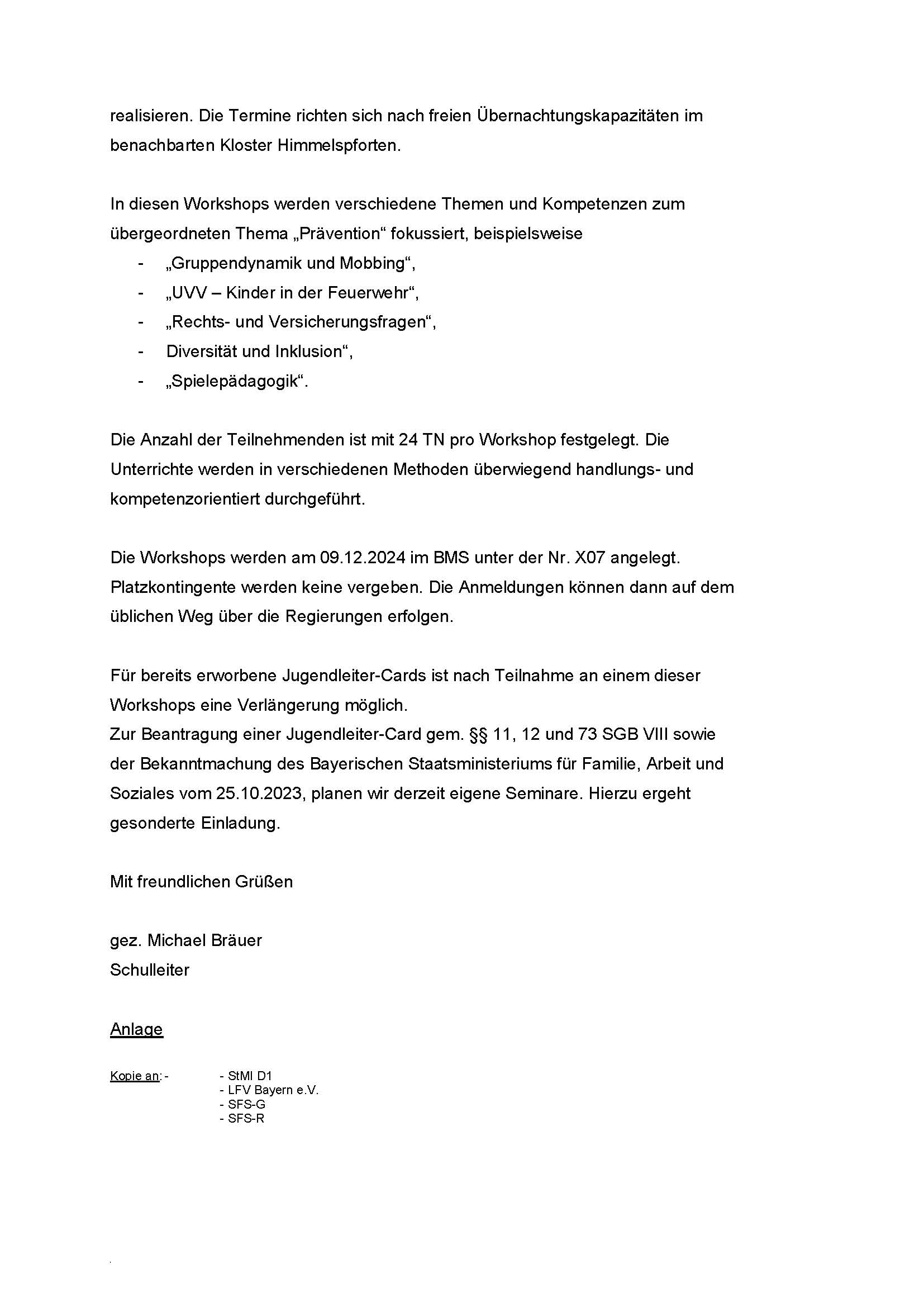 SFS WÜ Workshops Betreuerinnen und Betreuer von Kinderfeuerwehrgruppen Seite 2