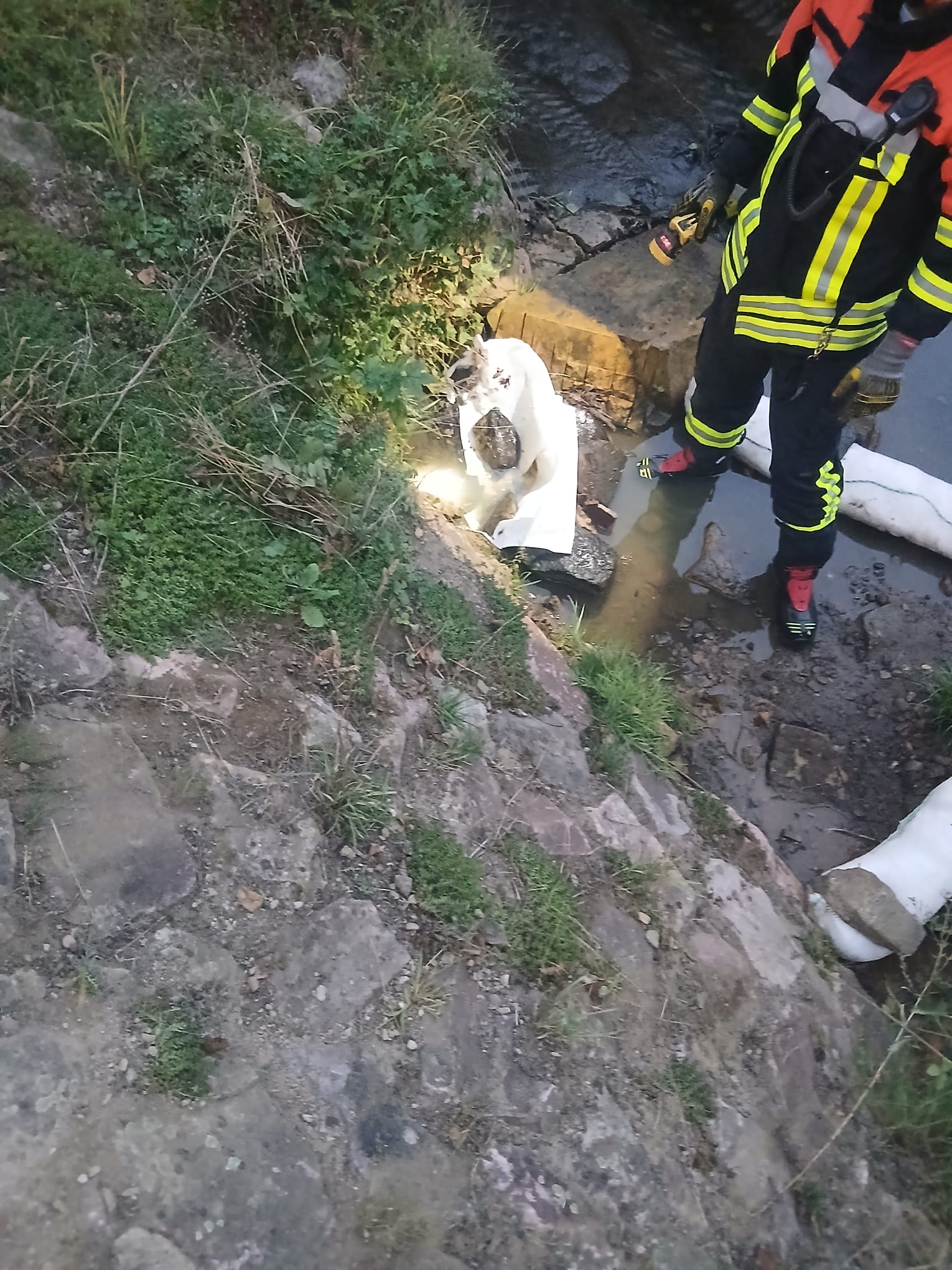 20250907 Öl auf Gewässer Hösbach 4