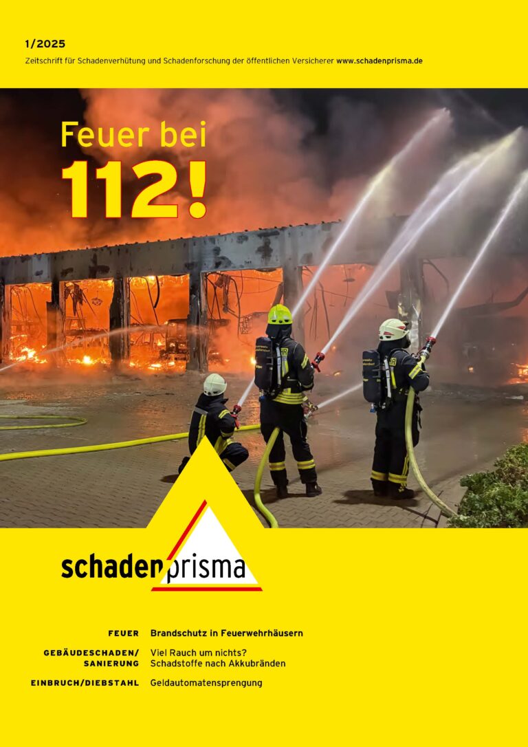 Schadenprisma