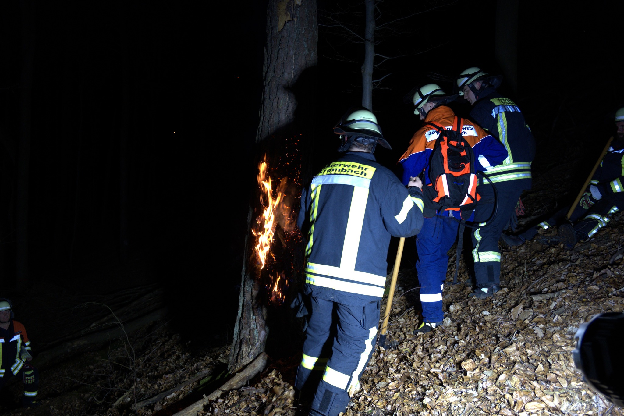 20250326 Ausbildung Vegetationsbrandbekämpfung der FF Krombach durch die FF Daxberg 5
