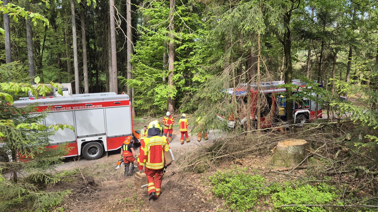20250429 FF Weibersbrunn Übung Forstunfall 3