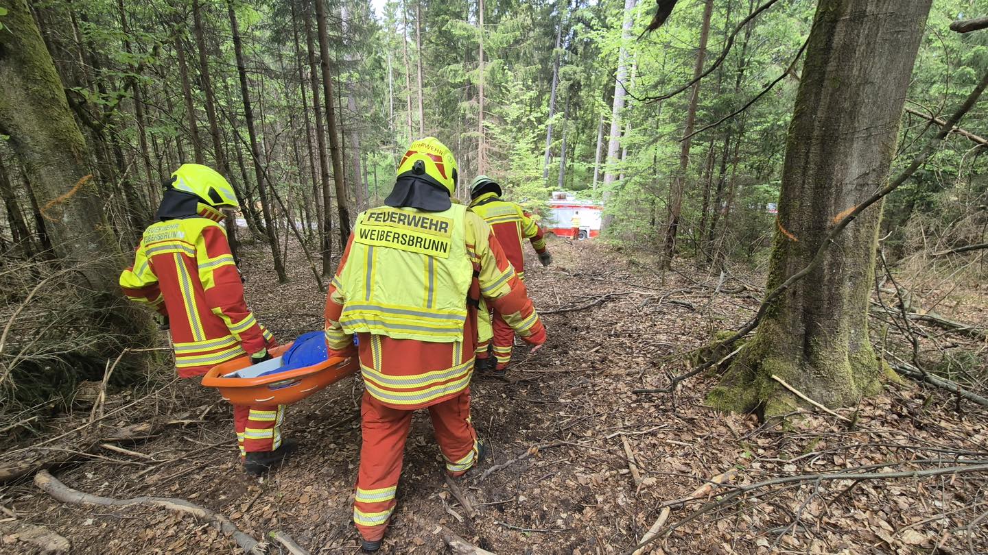 20250429 FF Weibersbrunn Übung Forstunfall 4