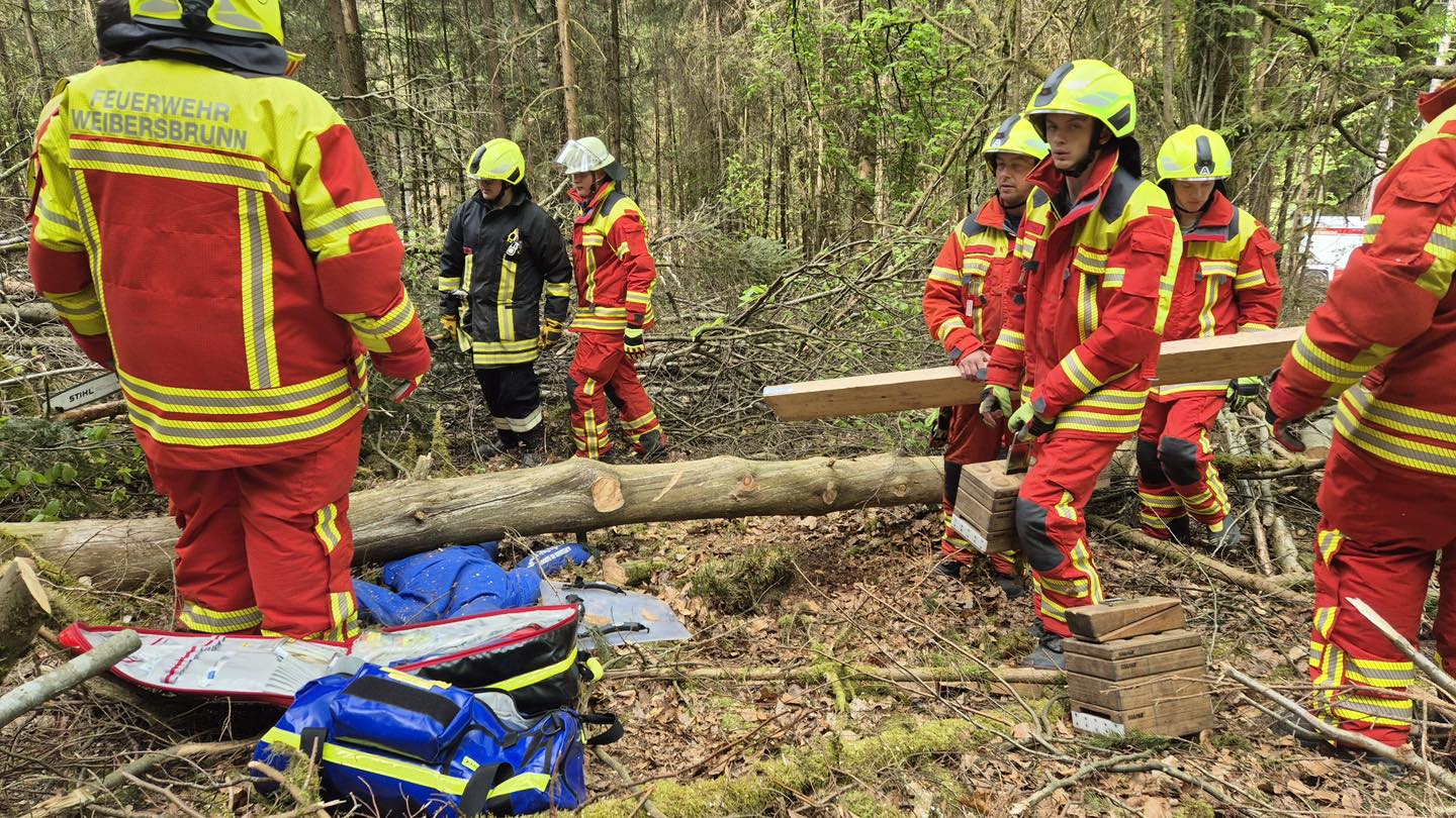20250429 FF Weibersbrunn Übung Forstunfall 5