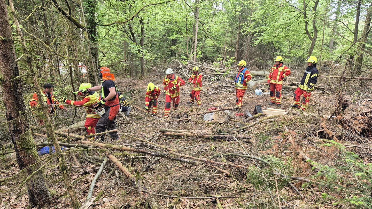 20250429 FF Weibersbrunn Übung Forstunfall 6