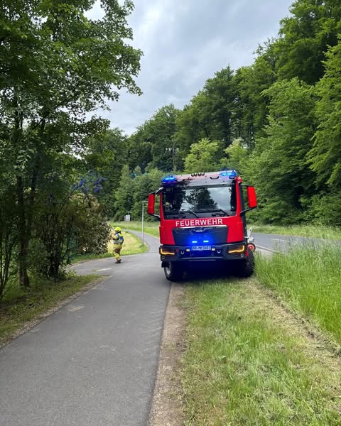 20250529 Tierrettung Mespelbrunn 1