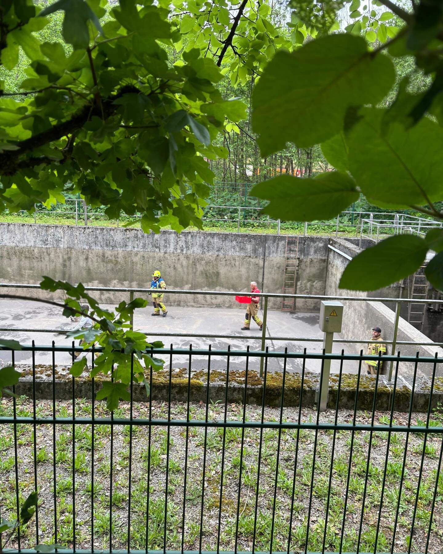 20250529 Tierrettung Mespelbrunn 2