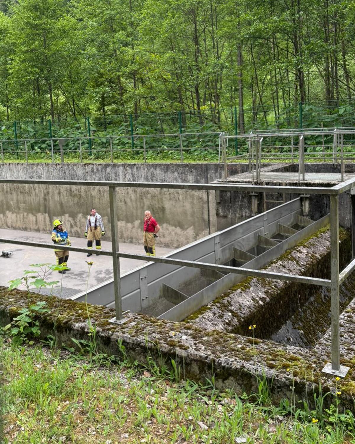 20250529 Tierrettung Mespelbrunn 3