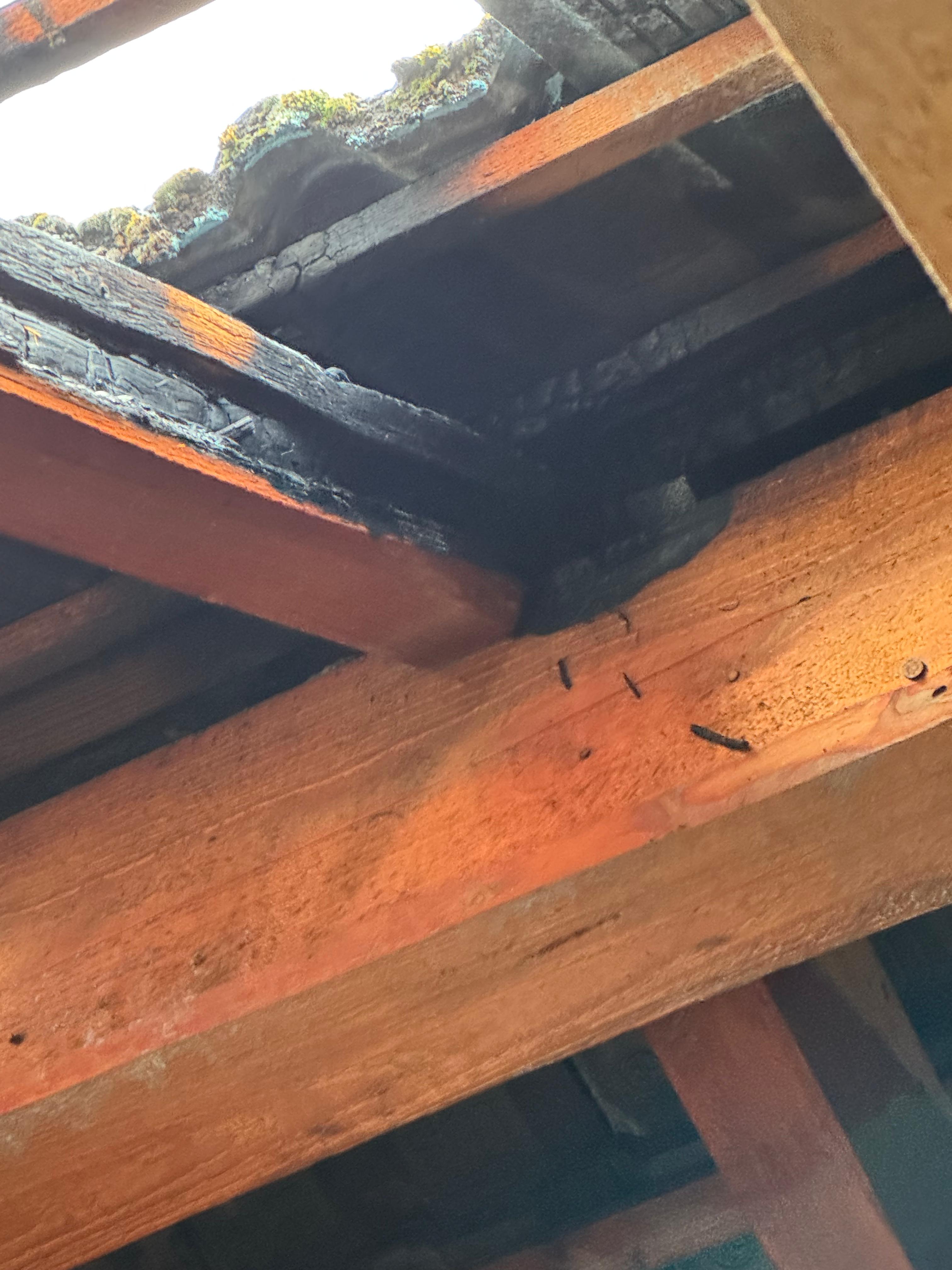 20250801 Brand Großostheim Ringheim 2