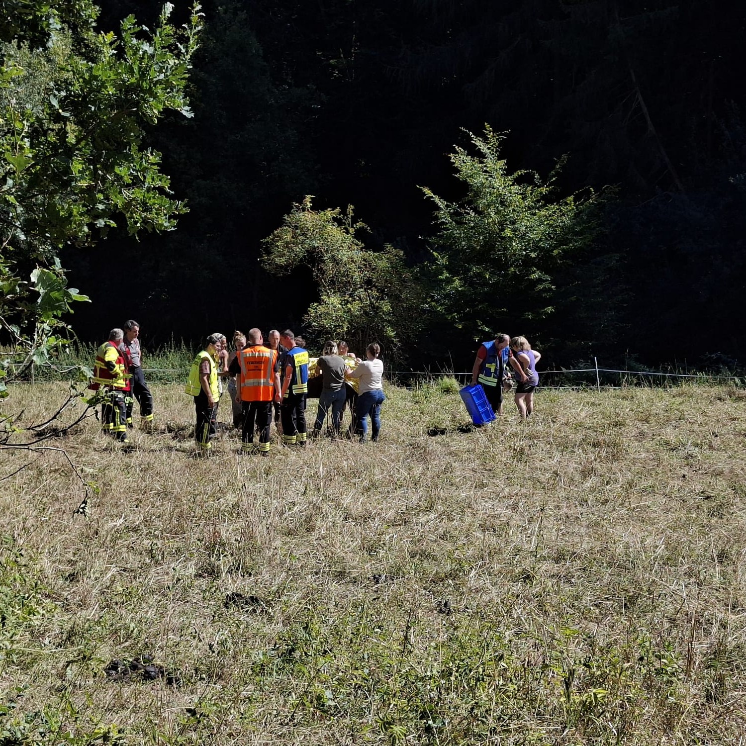 20250822 Tierrettung Johannesberg 5