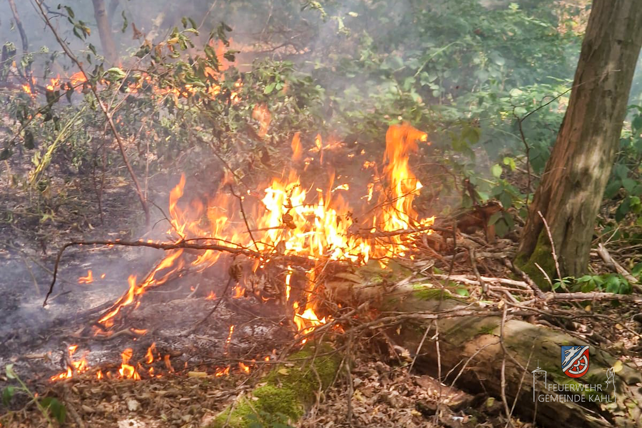 20250826 Brand Kahl 5