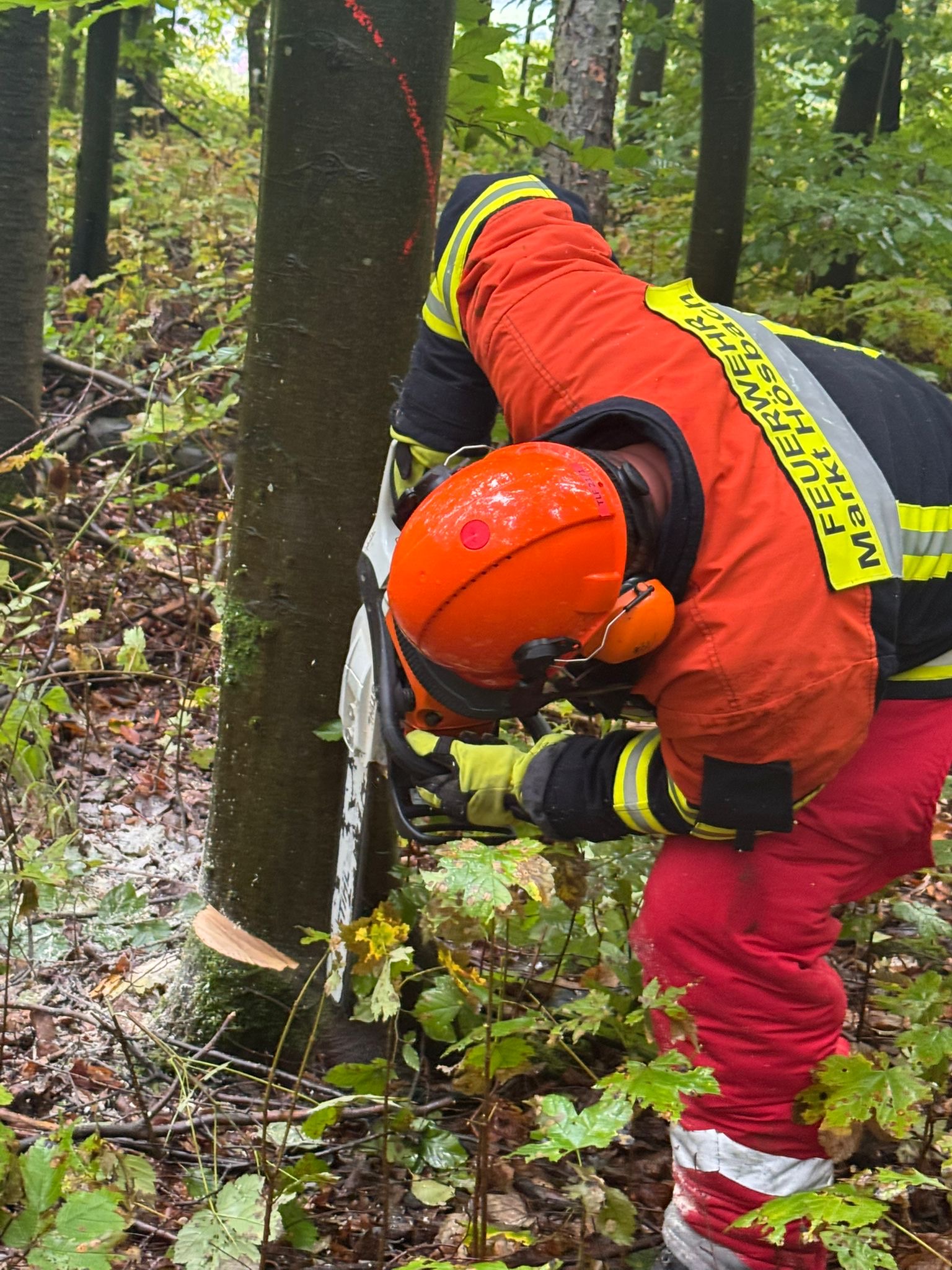 20251007 Ausbildung Feuerwehr Motorsägenführer Modul A in Gunzenbach 3