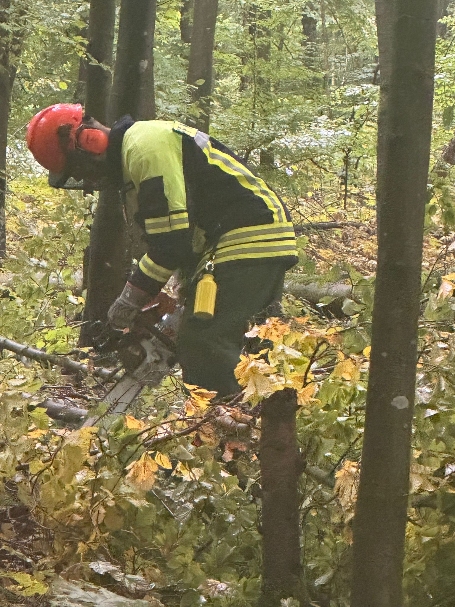 20251007 Ausbildung Feuerwehr Motorsägenführer Modul A in Gunzenbach 4