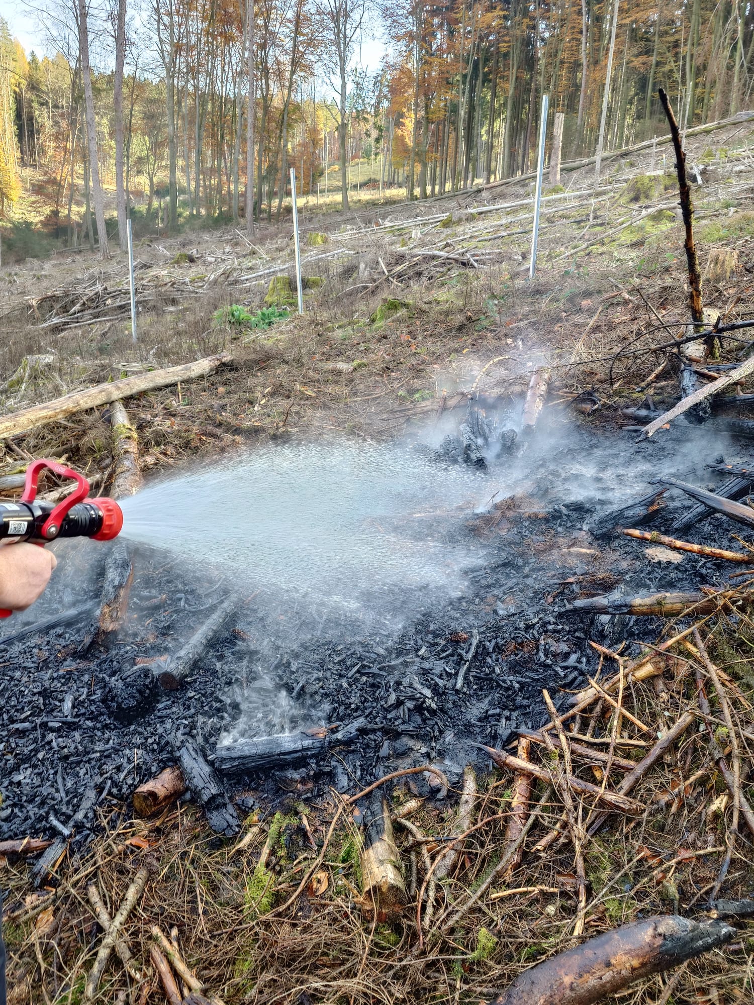 20251104 Brand Mespelbrunn 2