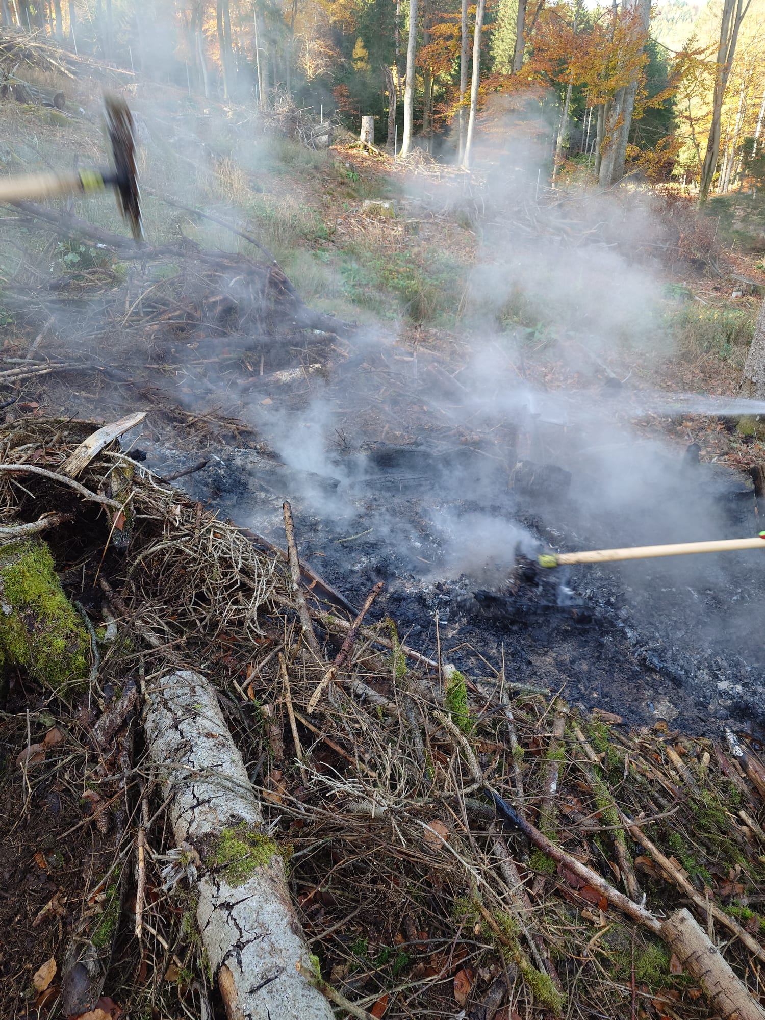 20251104 Brand Mespelbrunn 3