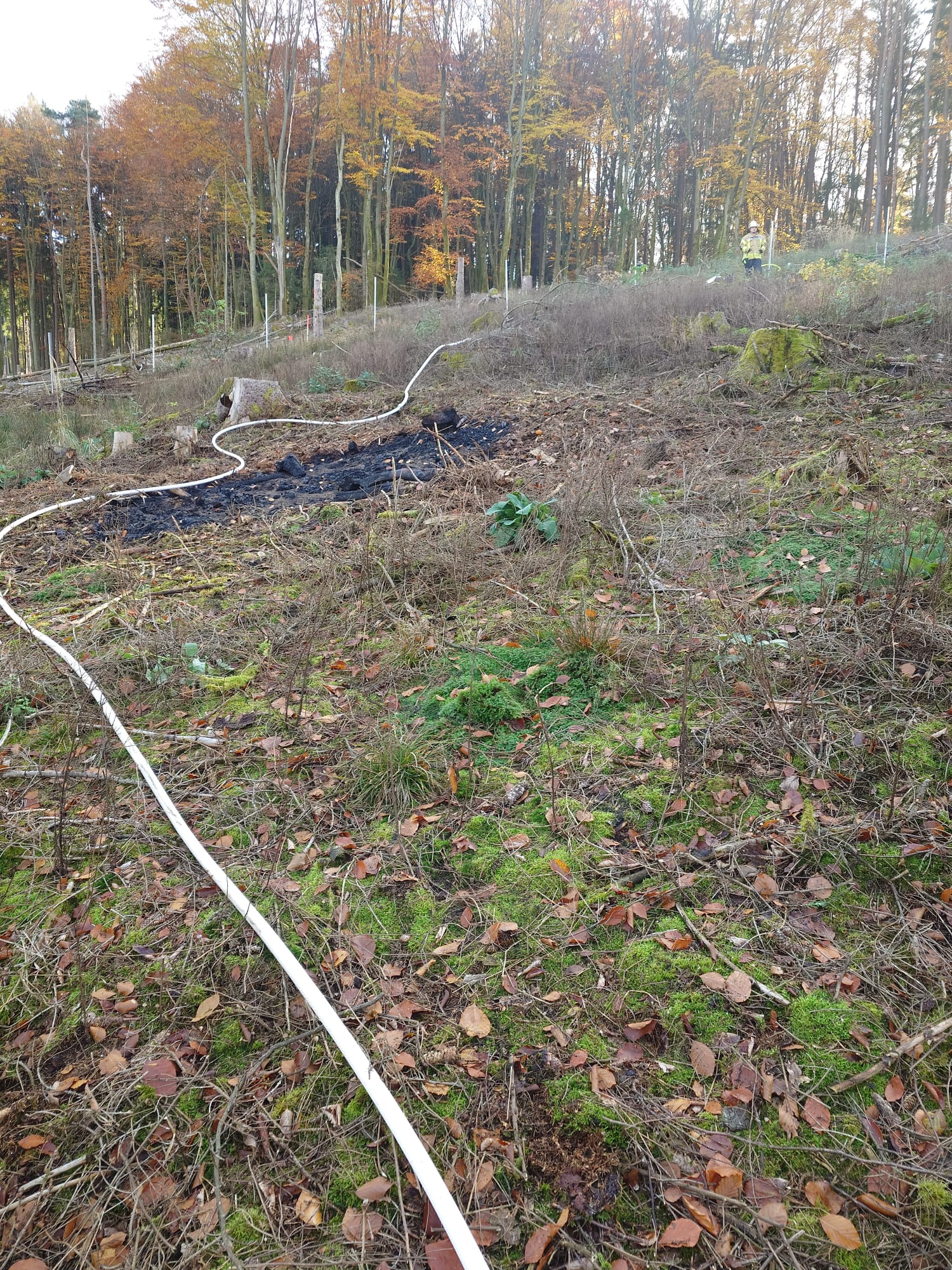 20251104 Brand Mespelbrunn 4