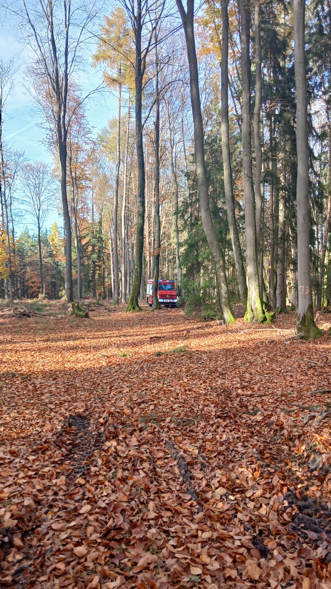 20251104 Brand Mespelbrunn 6