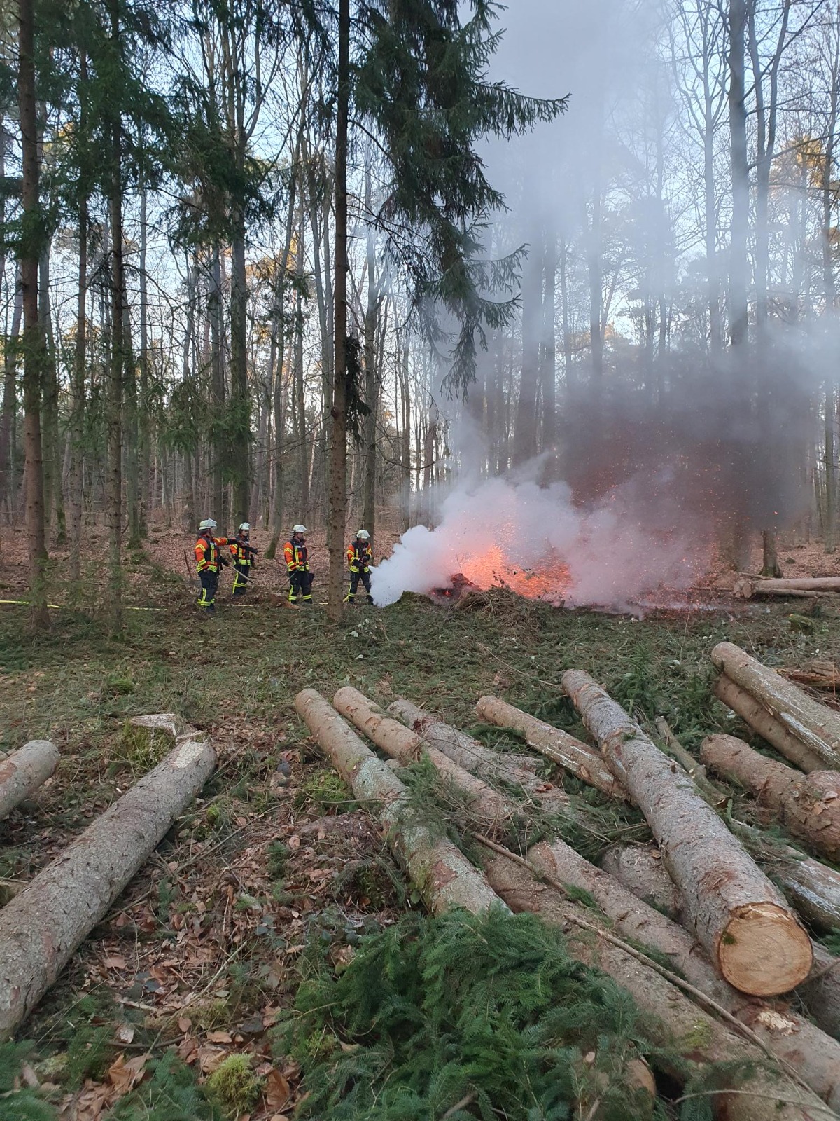 20251227 Rauchentwicklung im Wald Großostheim 10