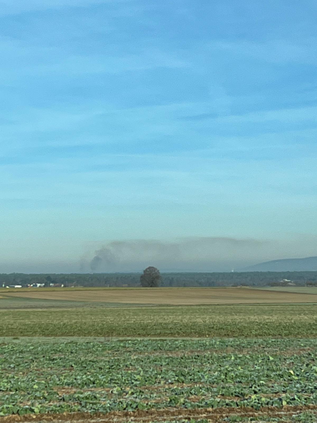 20251227 Rauchentwicklung im Wald Großostheim 6